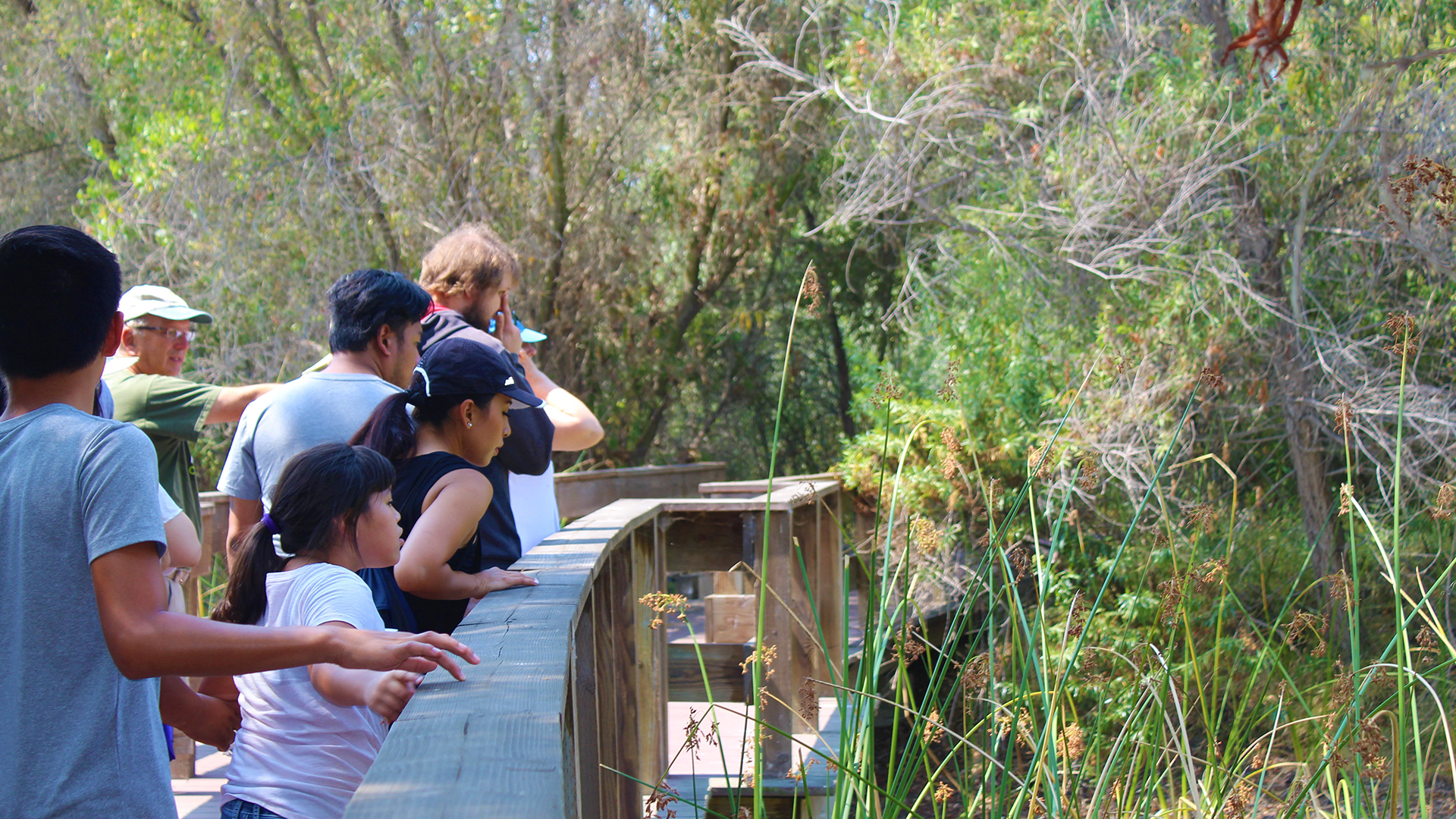 Bixby Marshland Tour